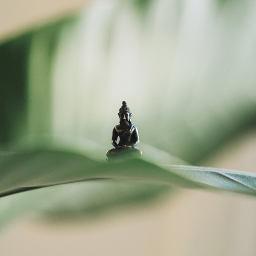 Buddha figure amongst blurred plant leaves