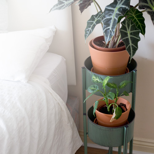 Plant Stands - Sustainable & Conscious Bedroom Makeover on a budget