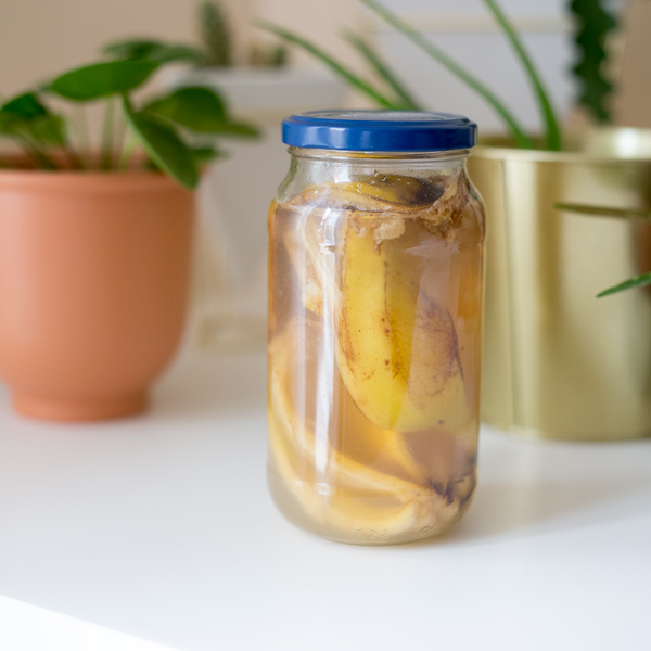Soaking Banana Peels - 14 Tricks to Zero Waste Indoor Gardening