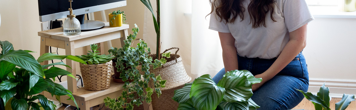 10 tricks to zero waste indoor gardening