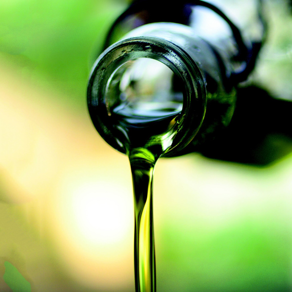 Olive Oil - 14 Tricks to Zero Waste Indoor Gardening